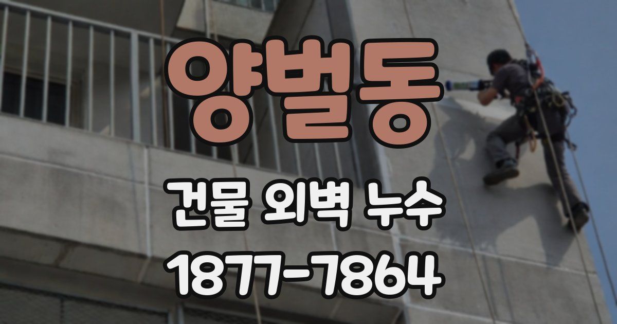 양벌동 건물 외벽 누수