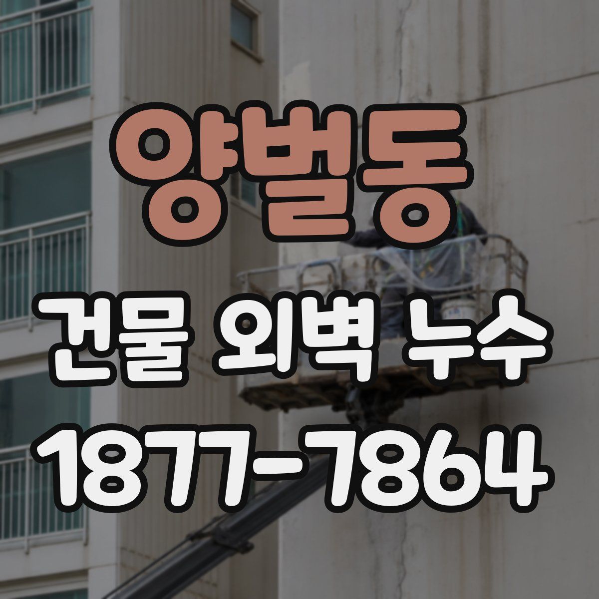 양벌동 건물 외벽 누수