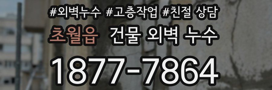 초월읍 건물 외벽 누수