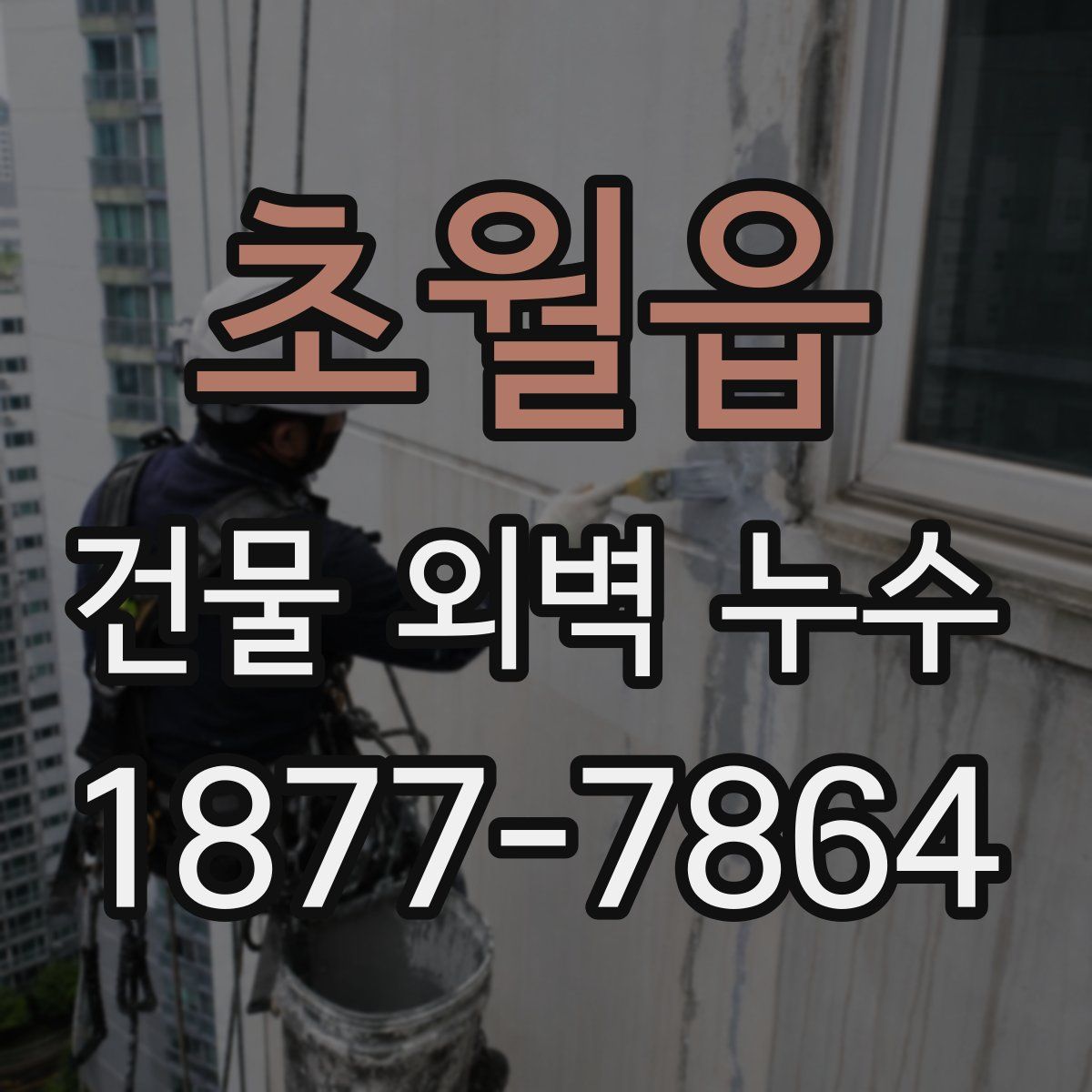 초월읍 건물 외벽 누수