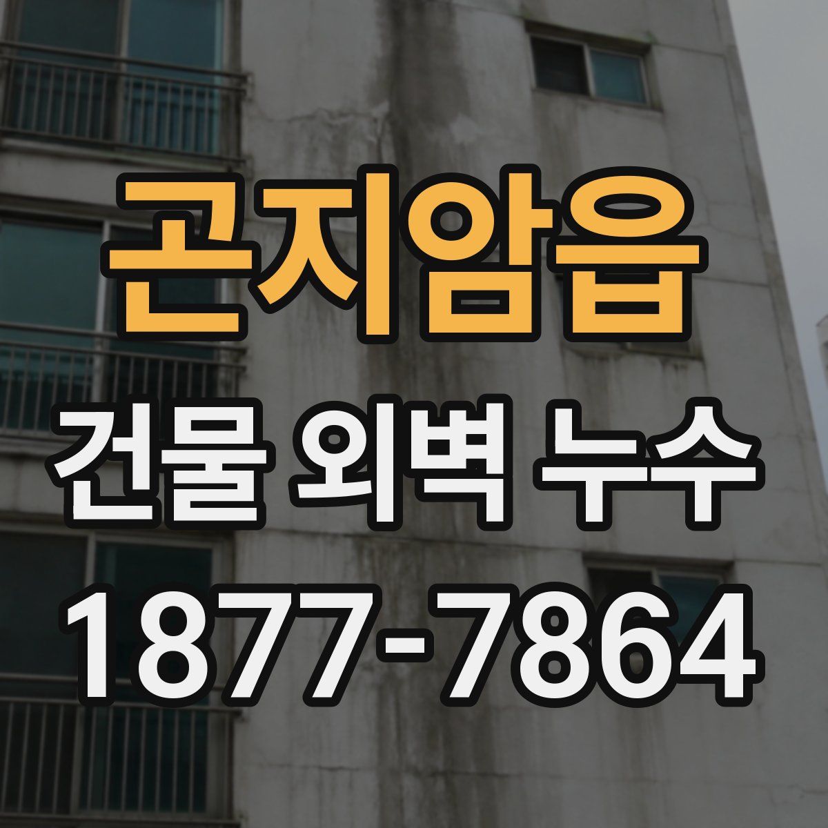 곤지암읍 건물 외벽 누수