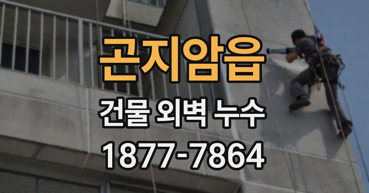 곤지암읍 건물 외벽 누수