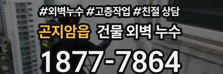 곤지암읍 건물 외벽 누수