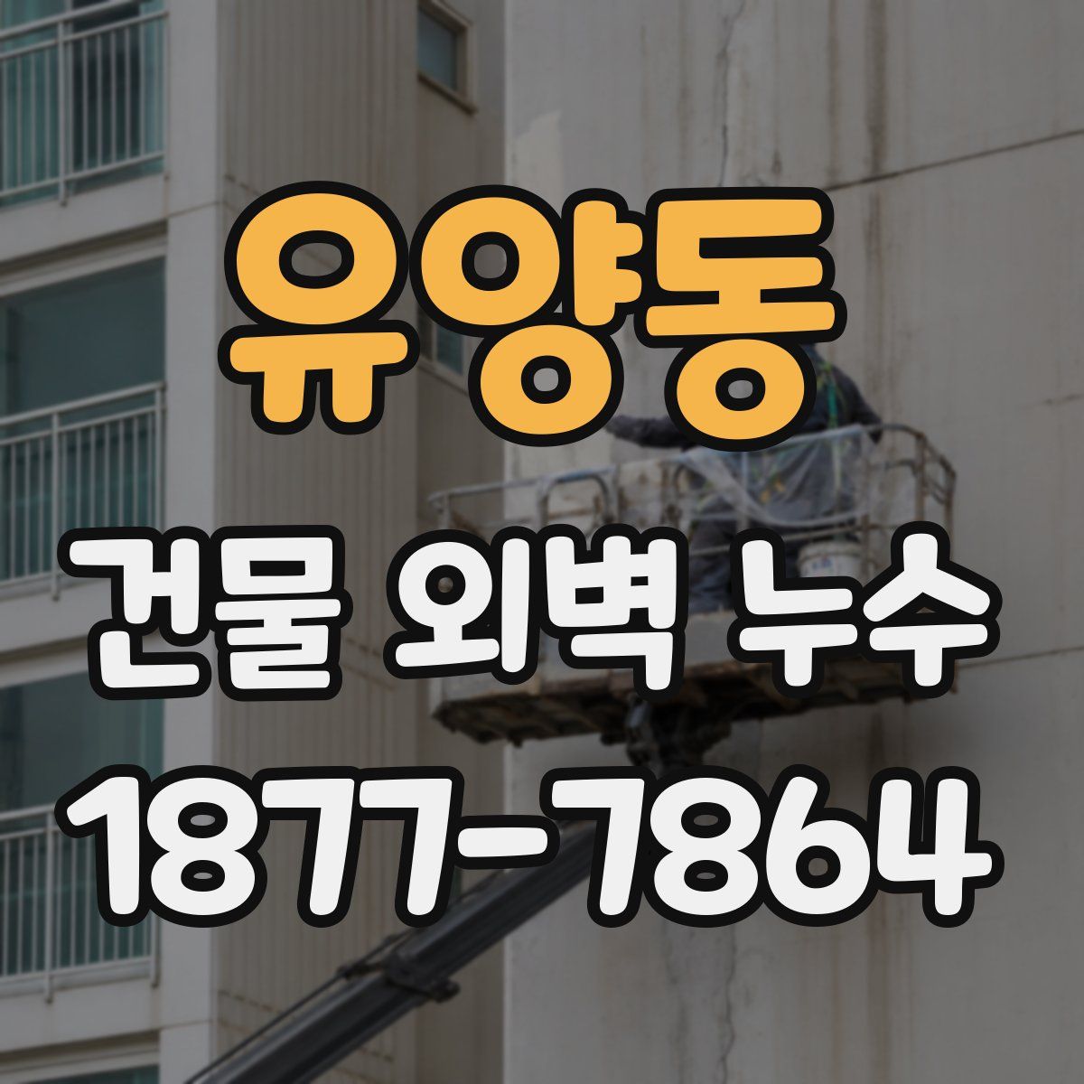 유양동 건물 외벽 누수