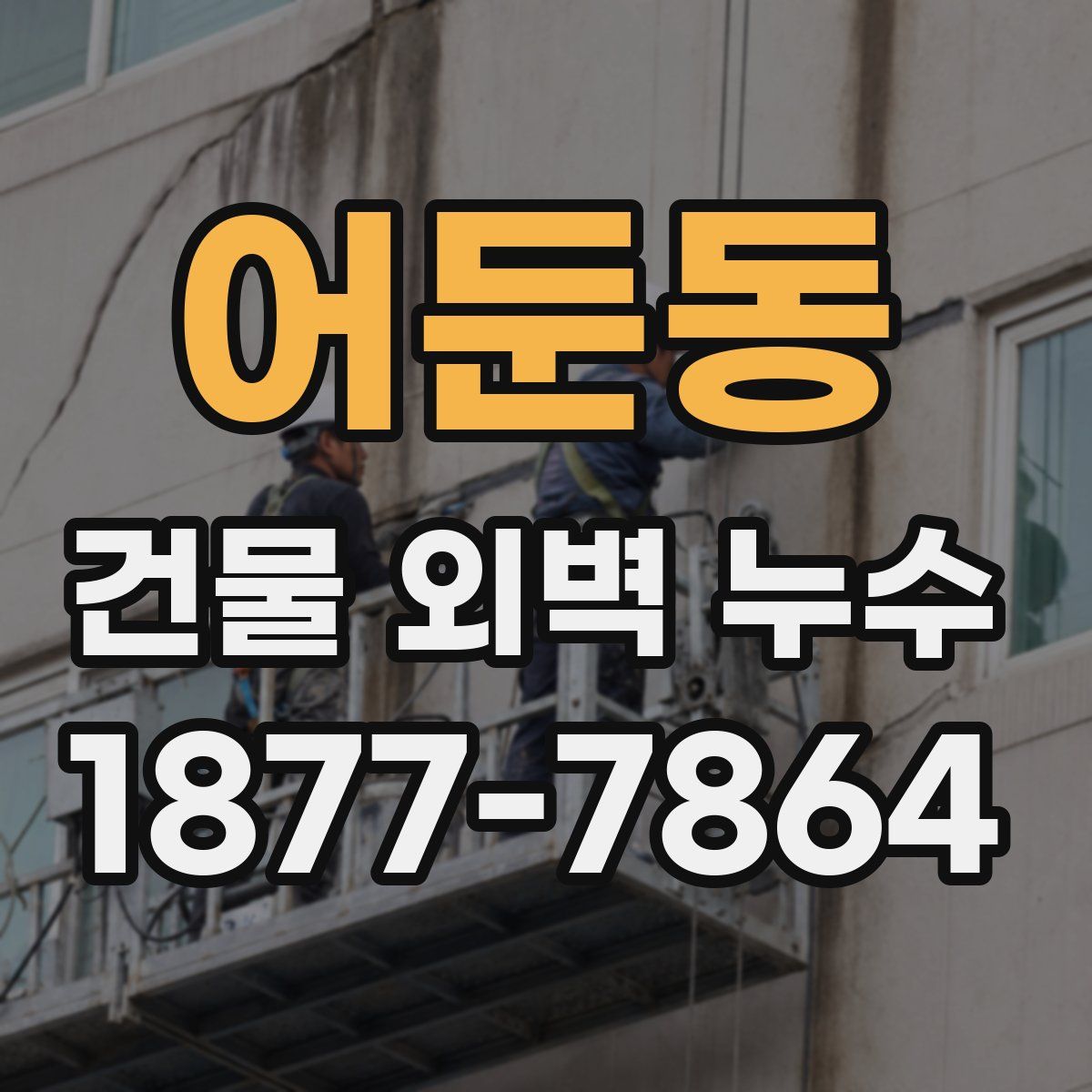어둔동 건물 외벽 누수