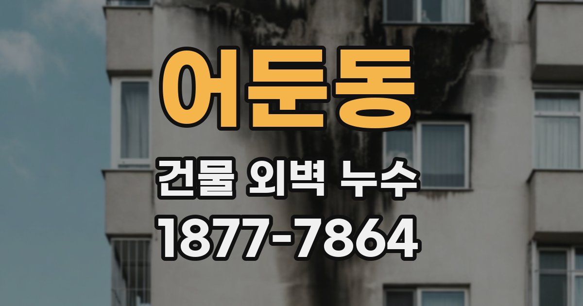 어둔동 건물 외벽 누수