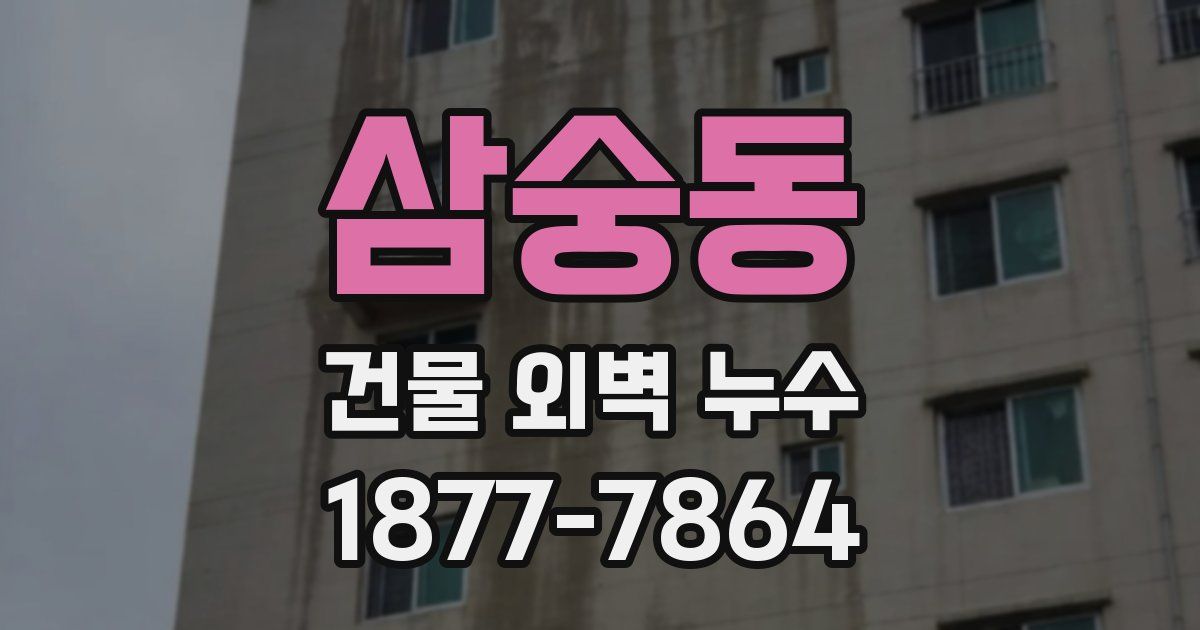 삼숭동 건물 외벽 누수