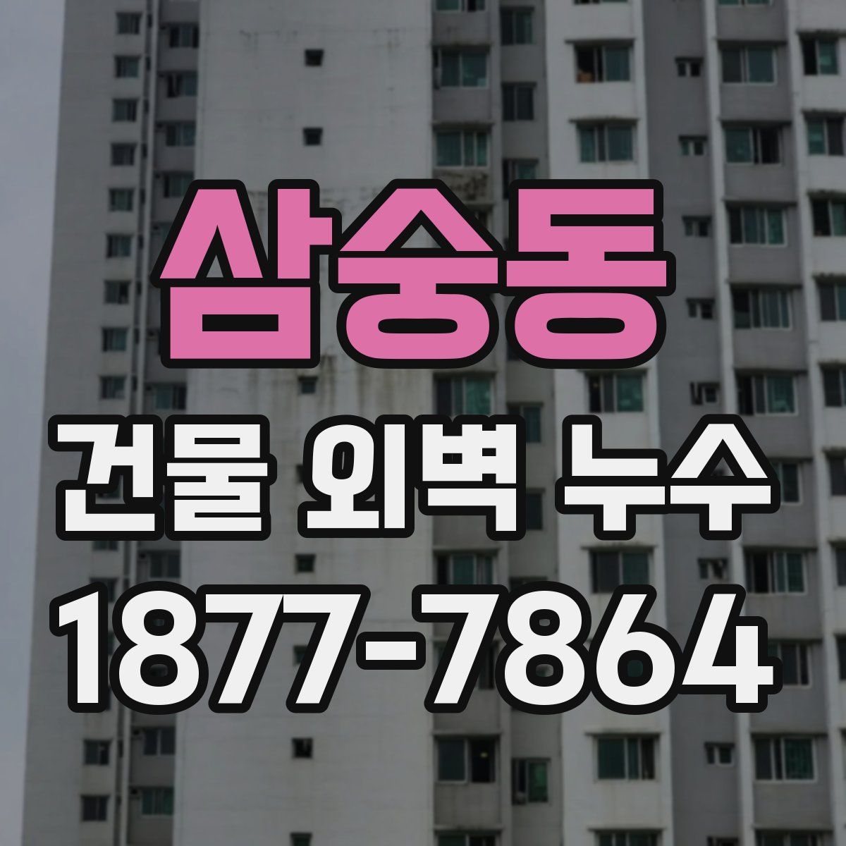 삼숭동 건물 외벽 누수