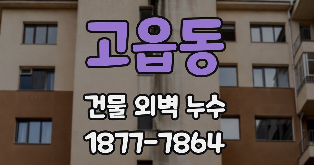 고읍동 건물 외벽 누수