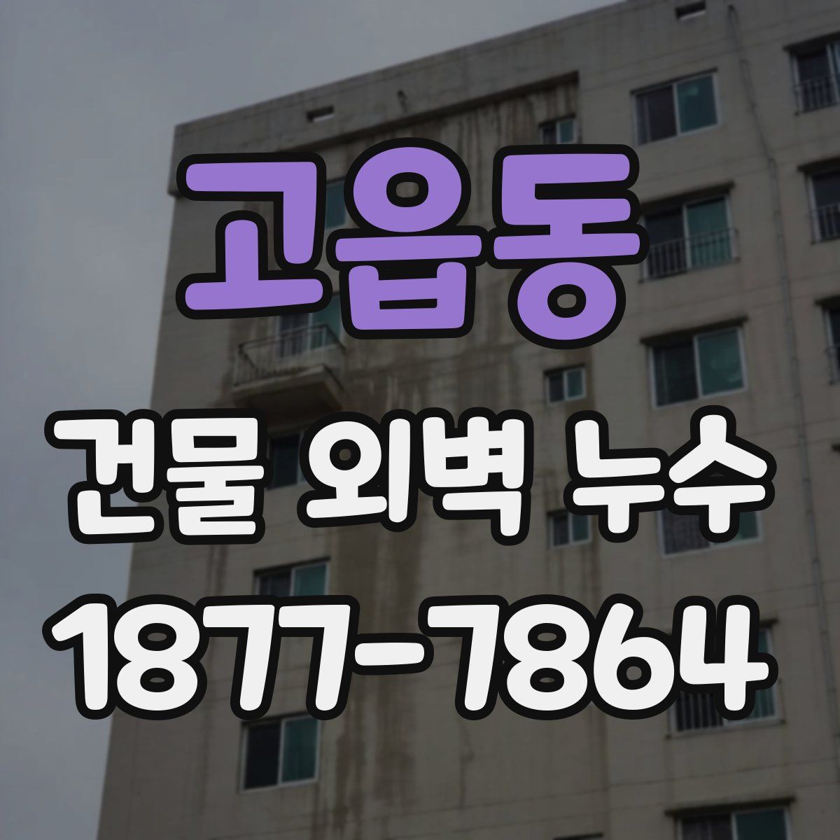 고읍동 건물 외벽 누수