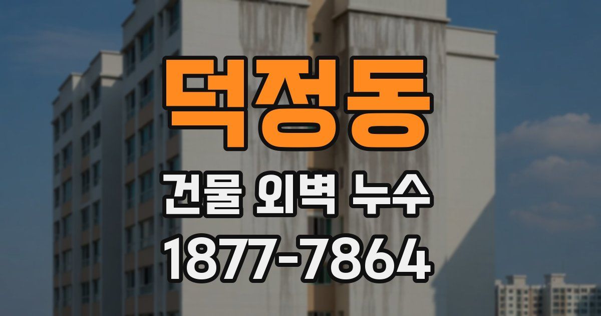 덕정동 건물 외벽 누수