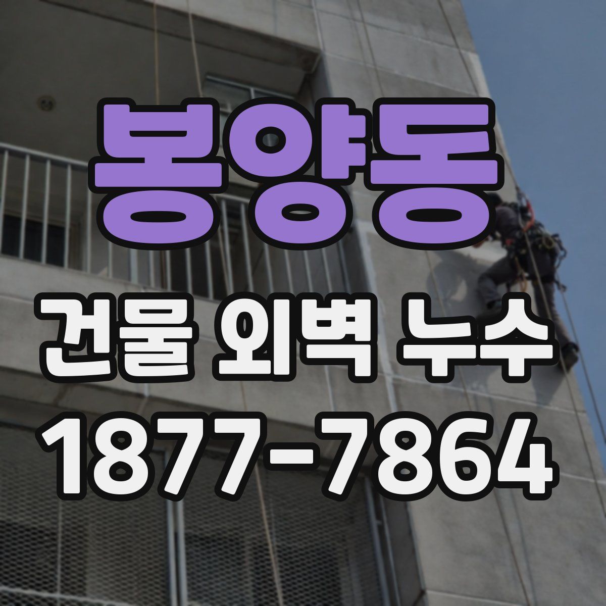 봉양동 건물 외벽 누수