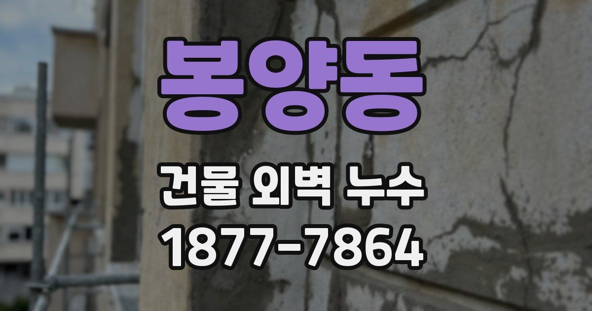 봉양동 건물 외벽 누수