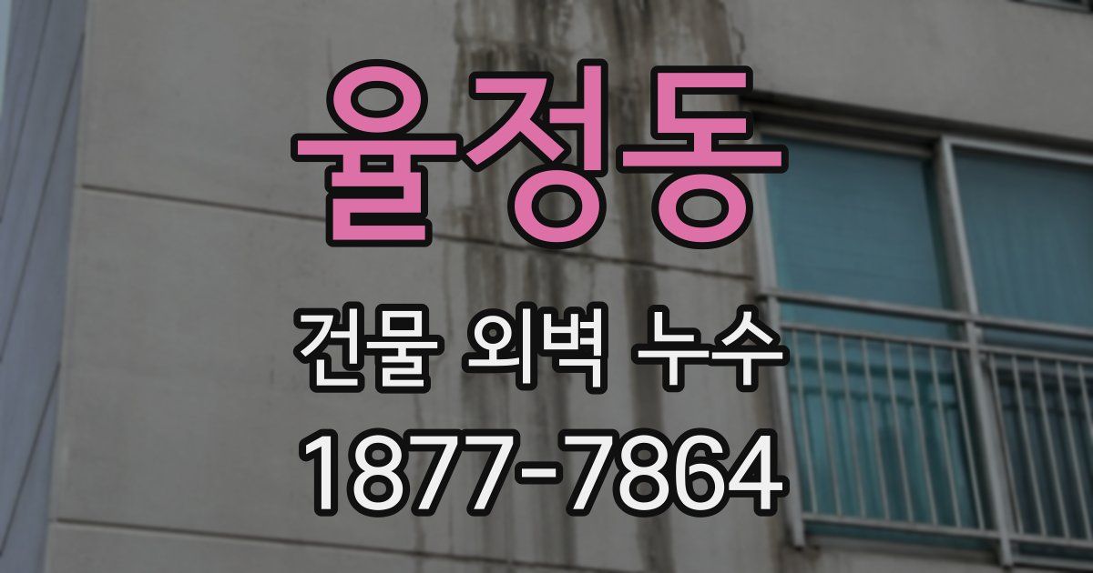 율정동 건물 외벽 누수