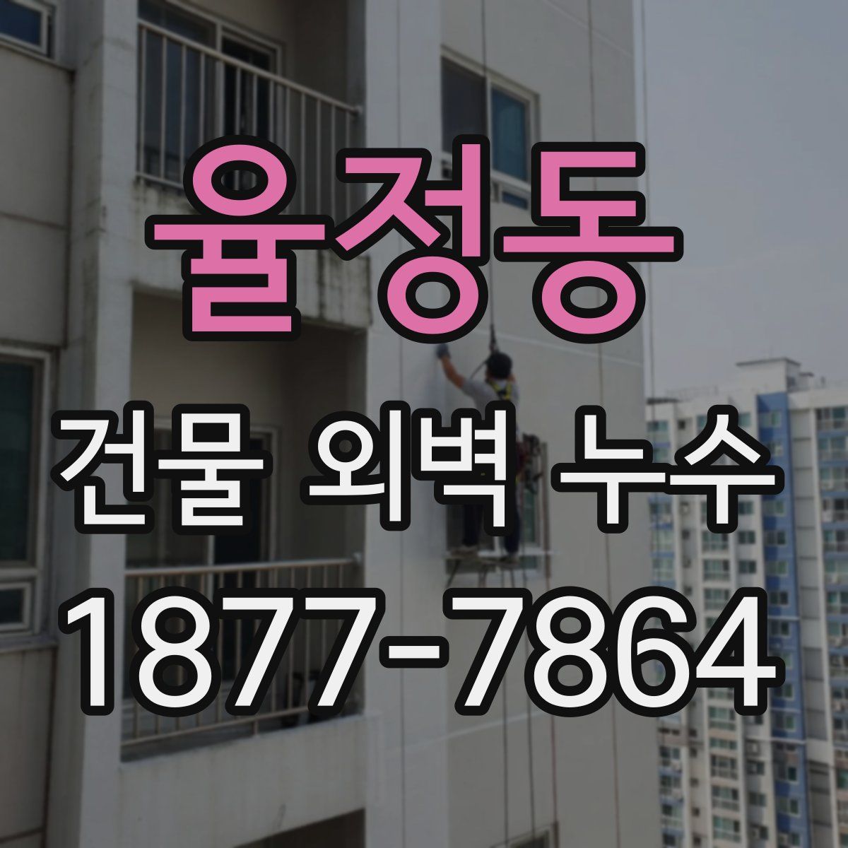 율정동 건물 외벽 누수
