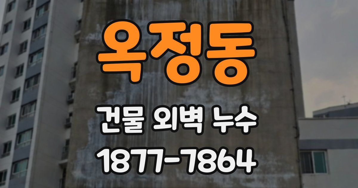 옥정동 건물 외벽 누수