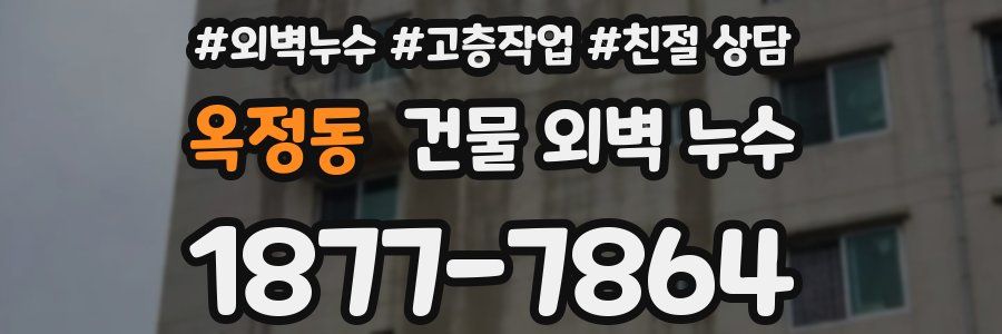 옥정동 건물 외벽 누수