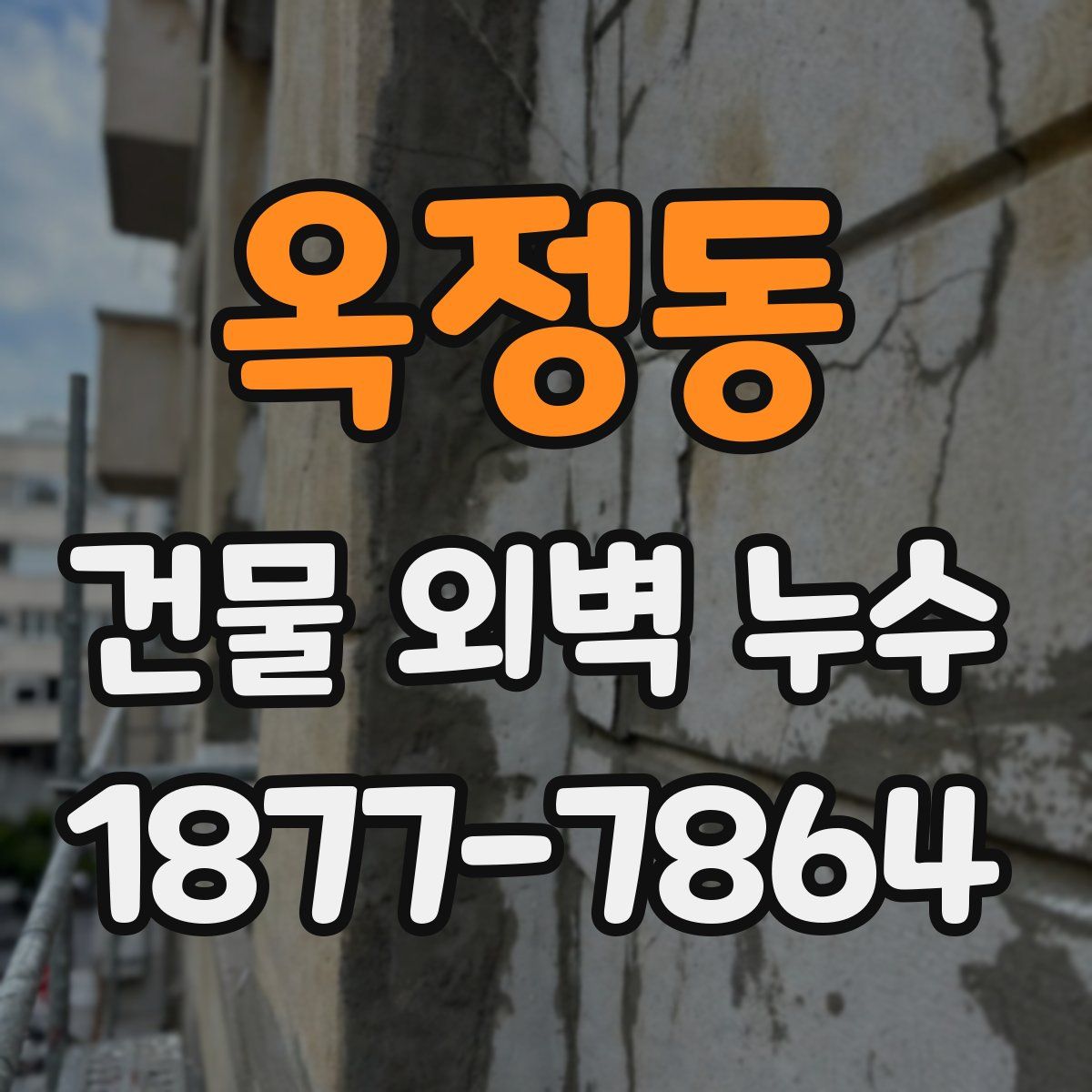 옥정동 건물 외벽 누수