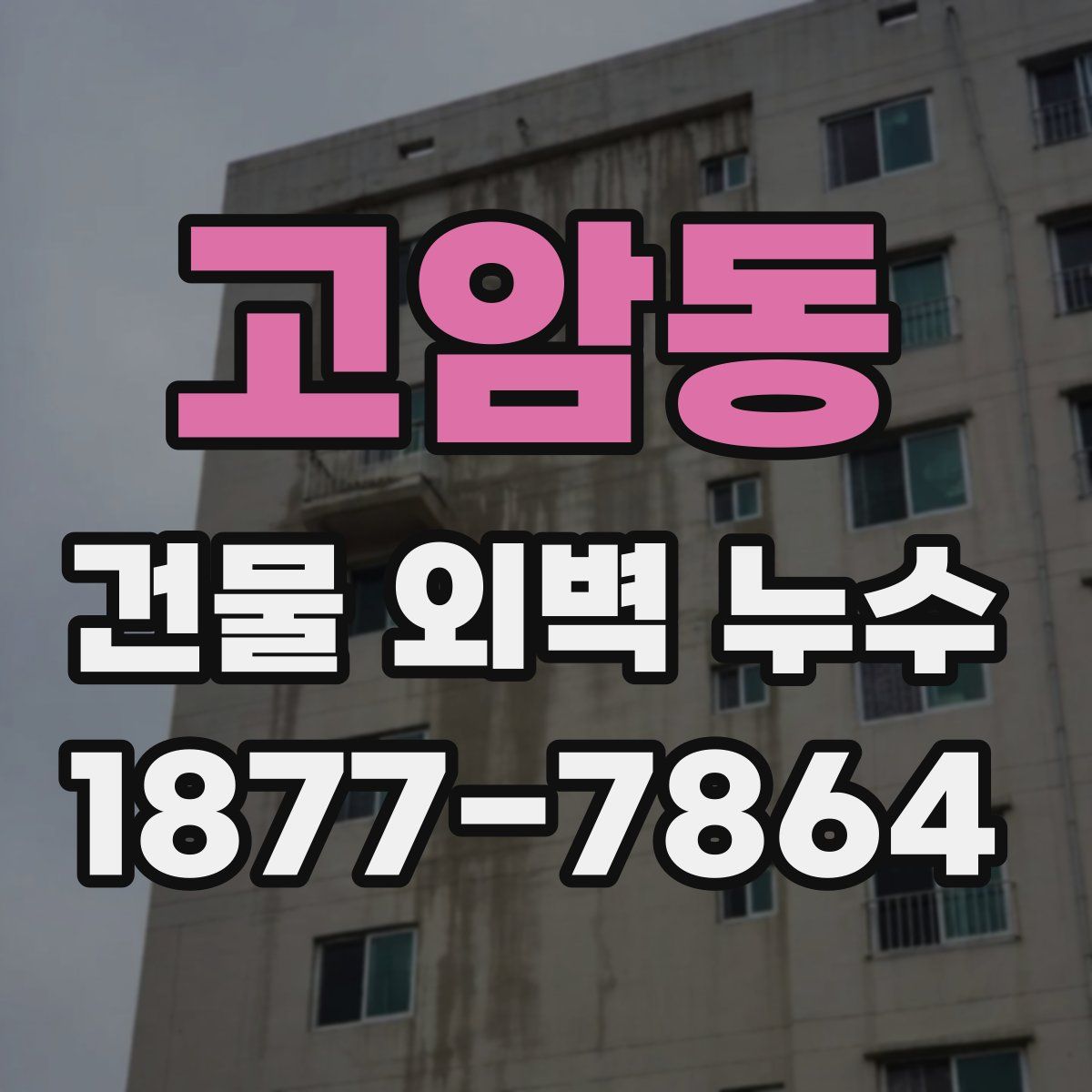 고암동 건물 외벽 누수