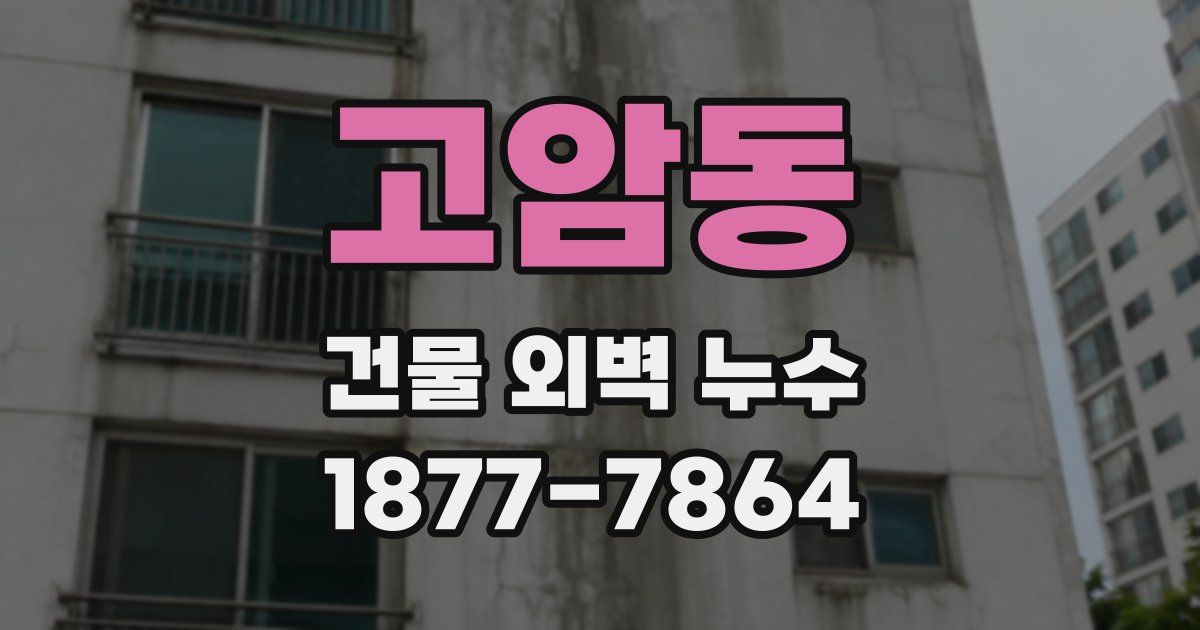 고암동 건물 외벽 누수