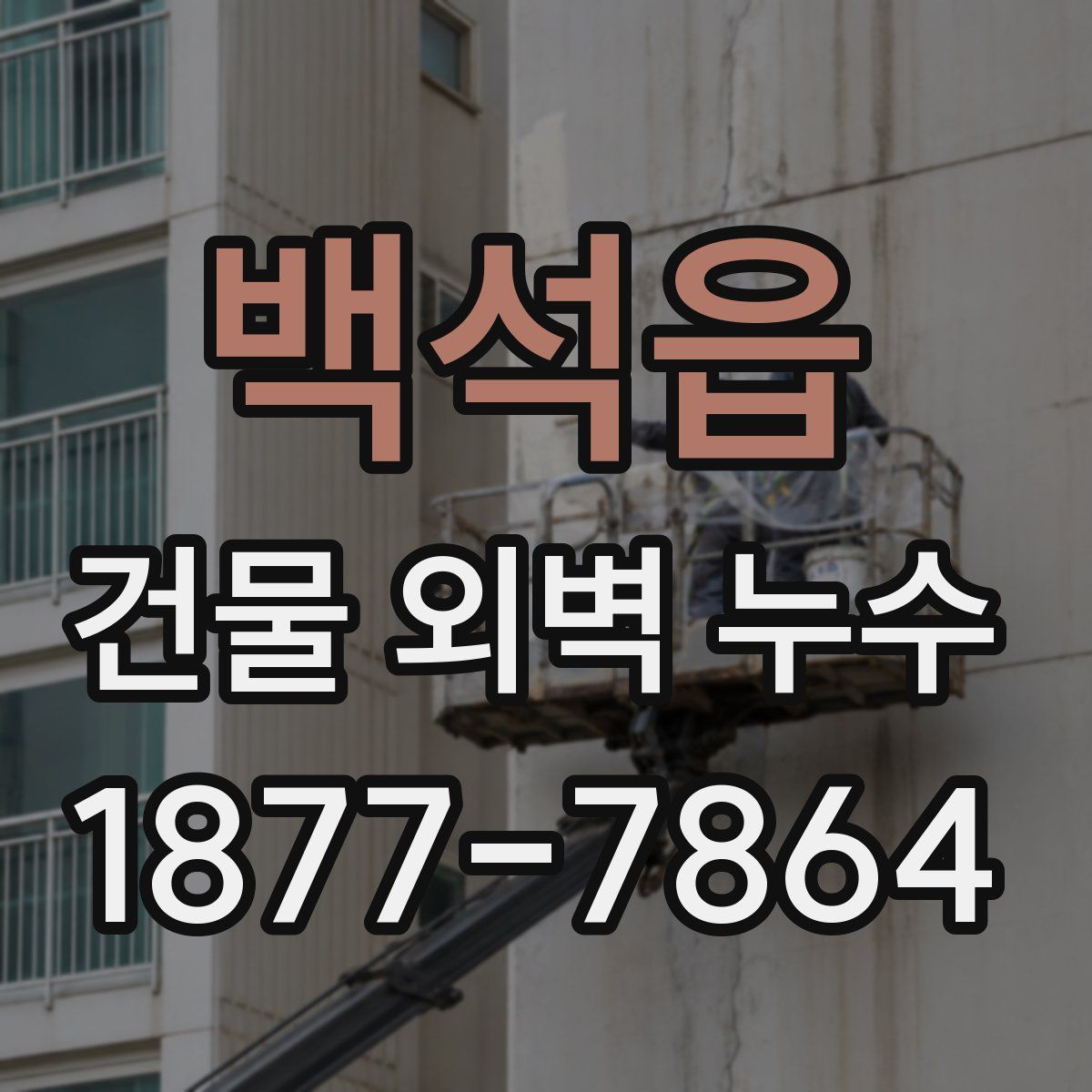 백석읍 건물 외벽 누수