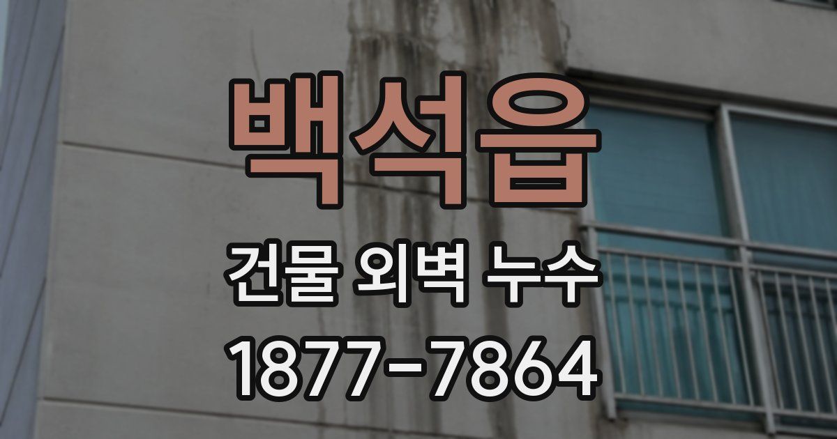 백석읍 건물 외벽 누수