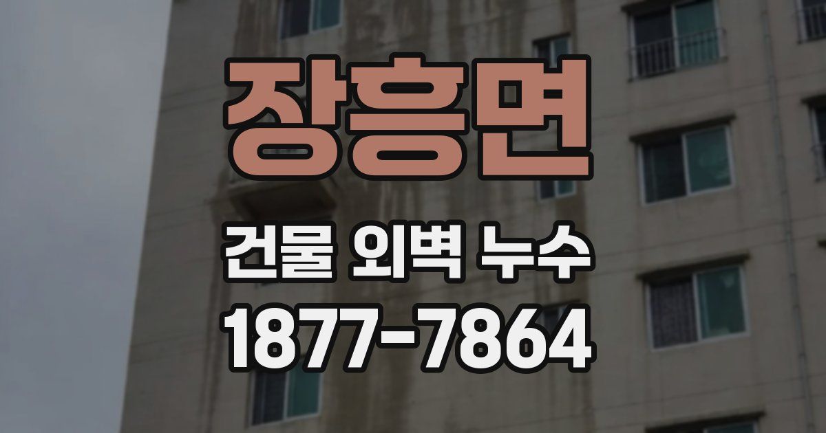 장흥면 건물 외벽 누수
