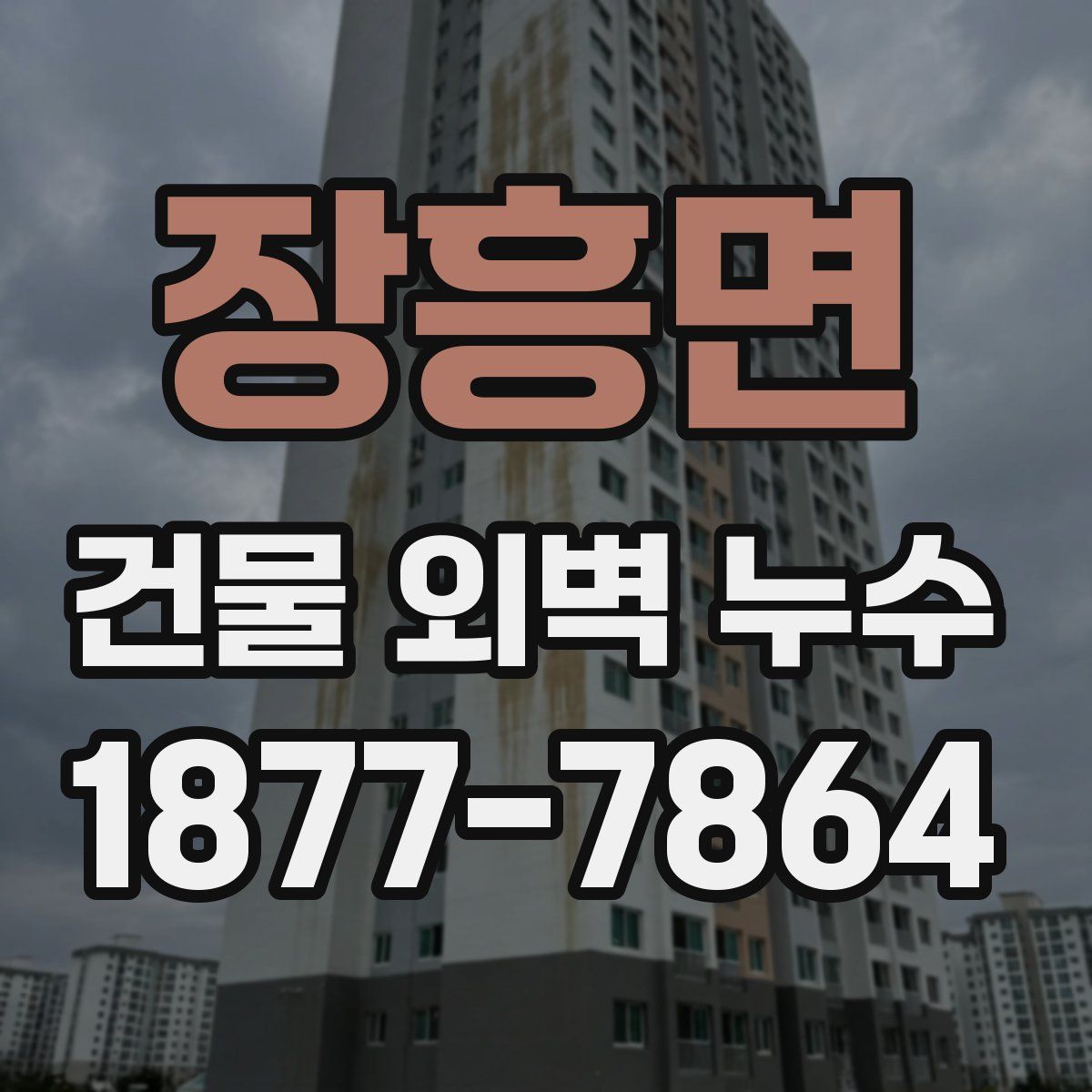 장흥면 건물 외벽 누수