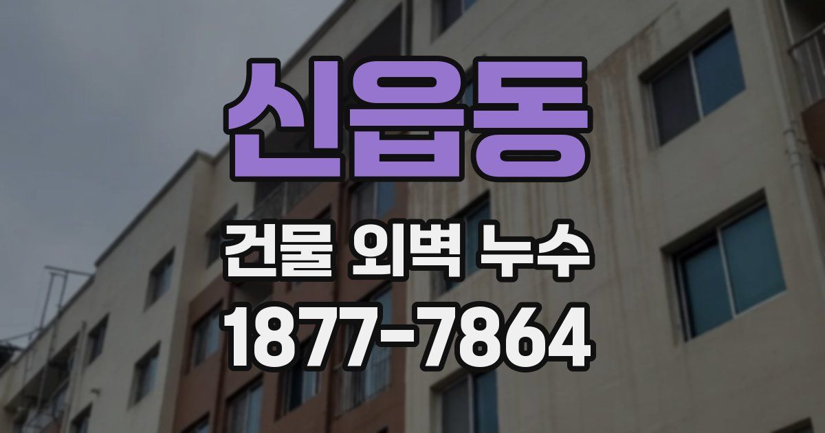신읍동 건물 외벽 누수