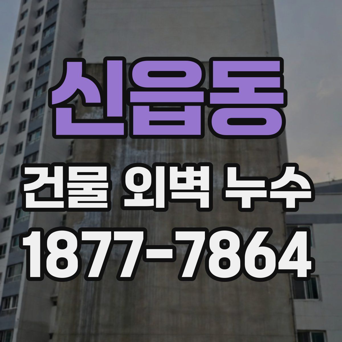 신읍동 건물 외벽 누수