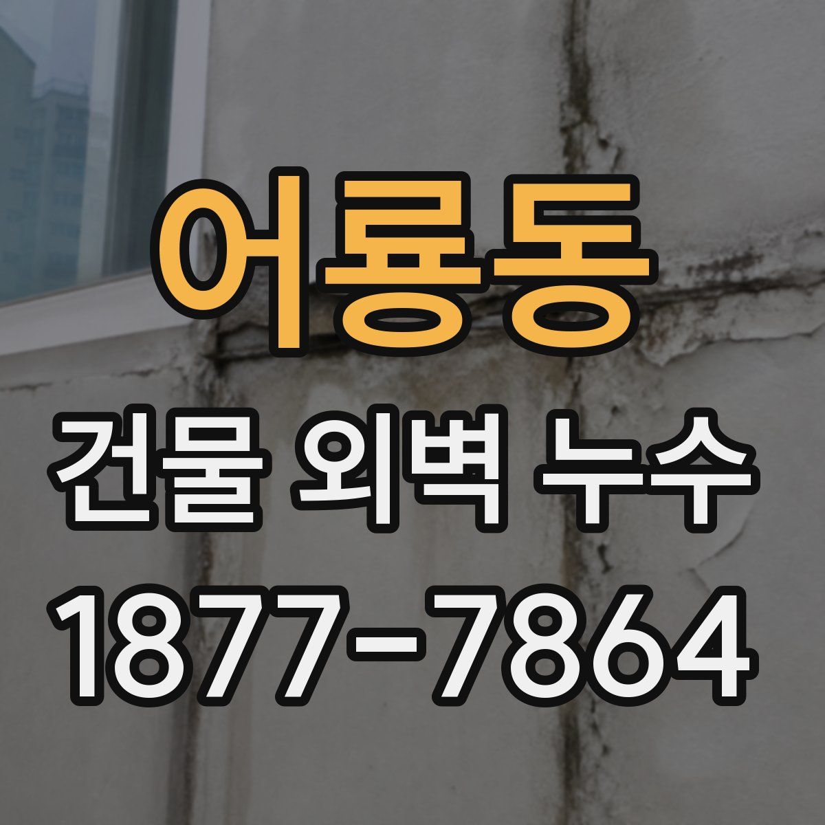 어룡동 건물 외벽 누수
