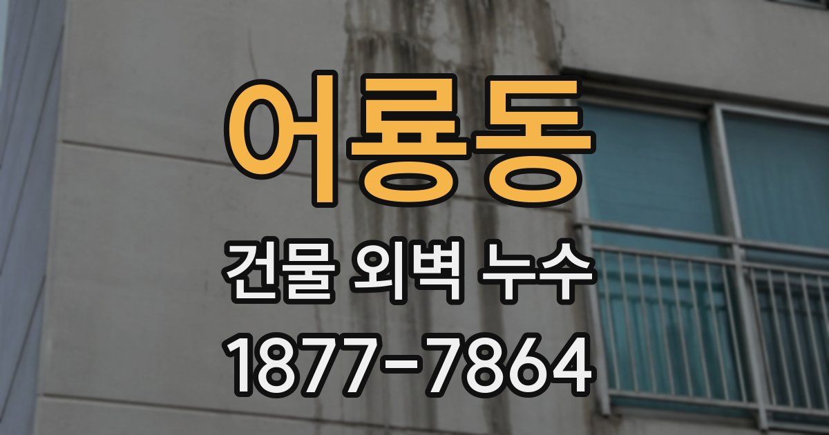 어룡동 건물 외벽 누수