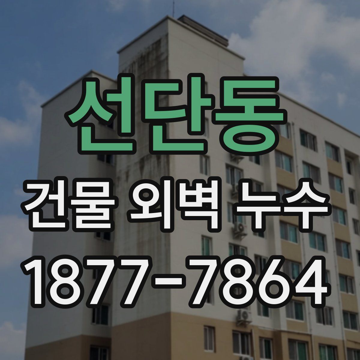 선단동 건물 외벽 누수