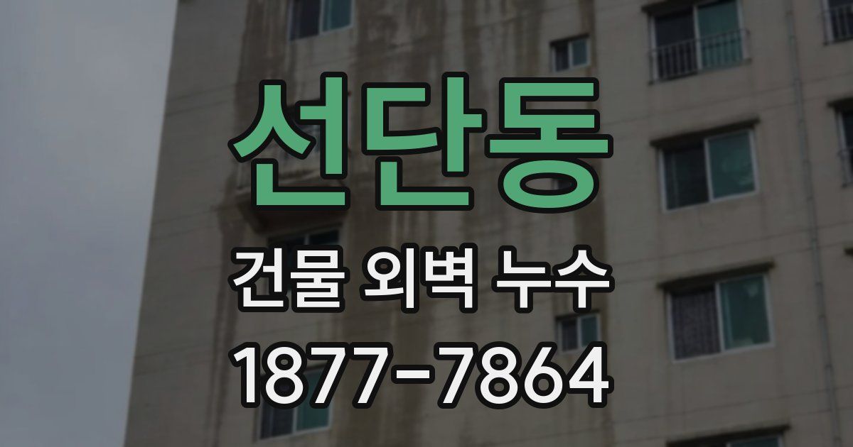 선단동 건물 외벽 누수