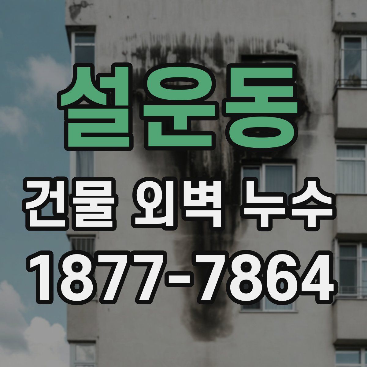 설운동 건물 외벽 누수