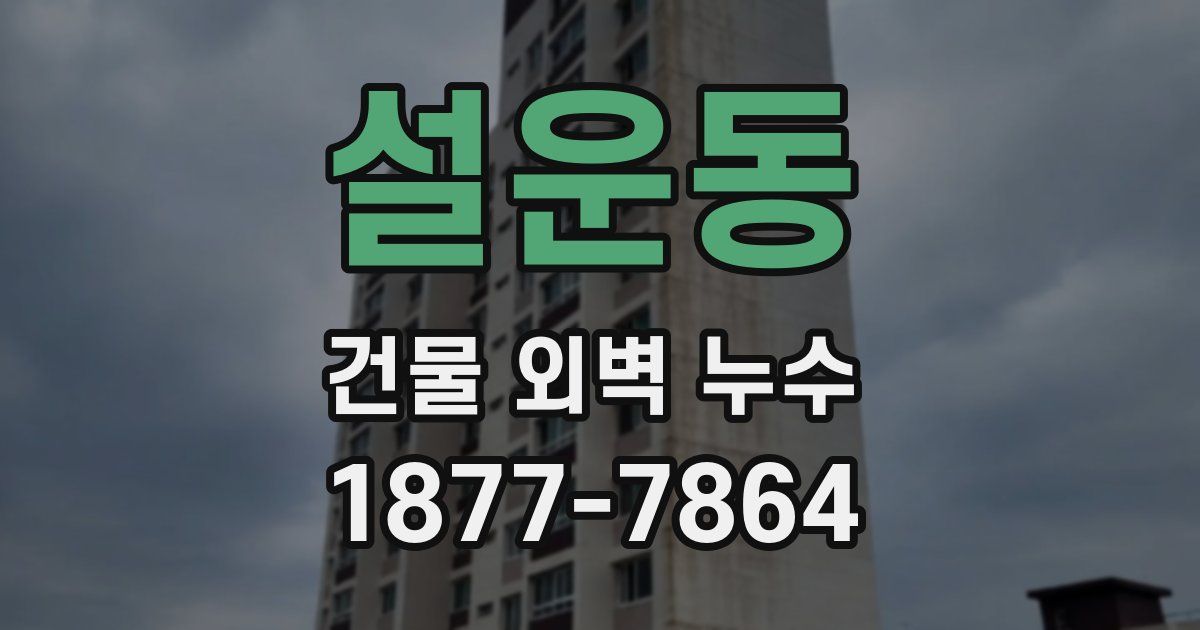 설운동 건물 외벽 누수