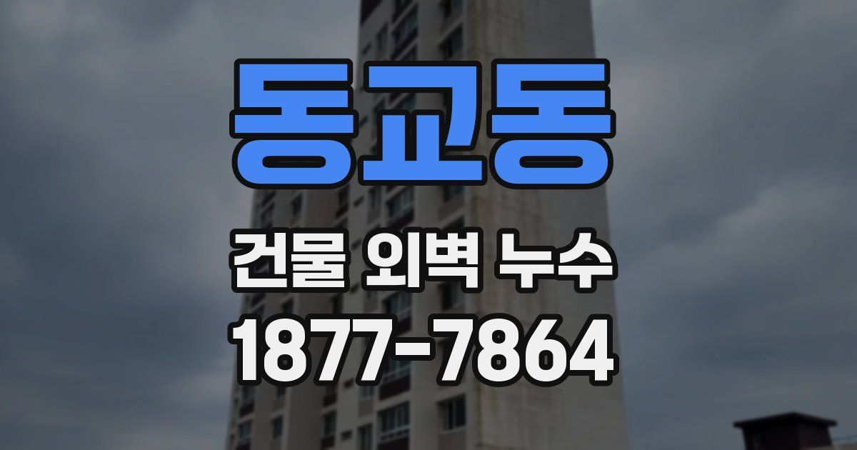 동교동 건물 외벽 누수