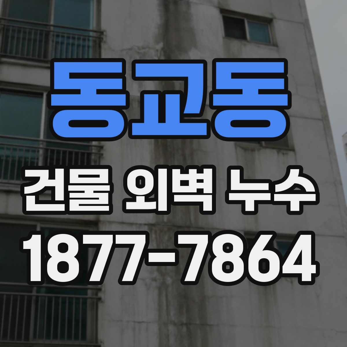 동교동 건물 외벽 누수