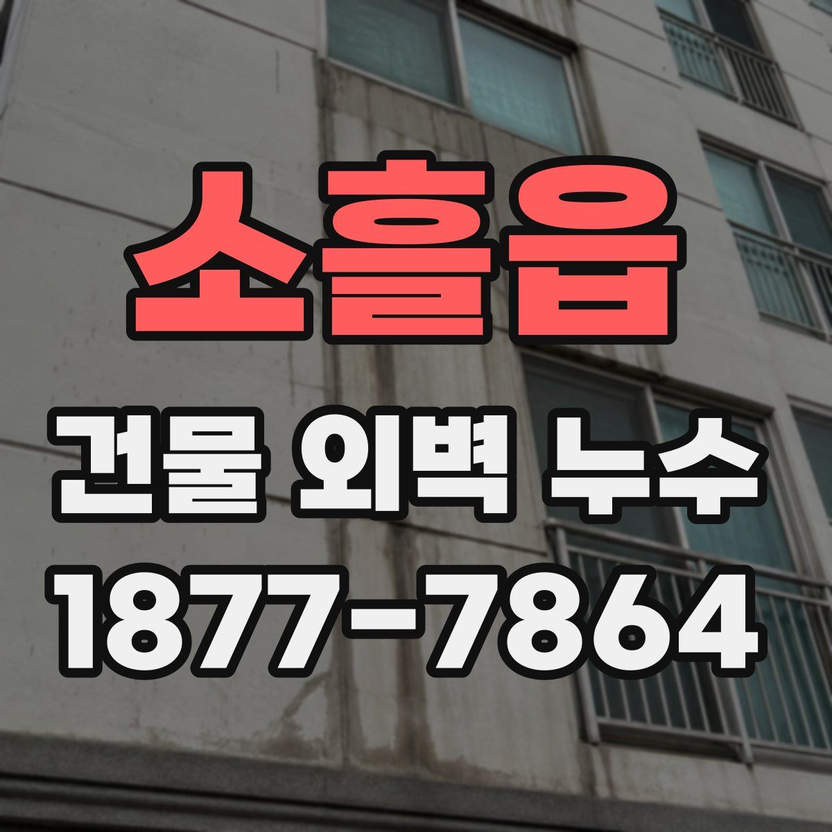 소흘읍 건물 외벽 누수