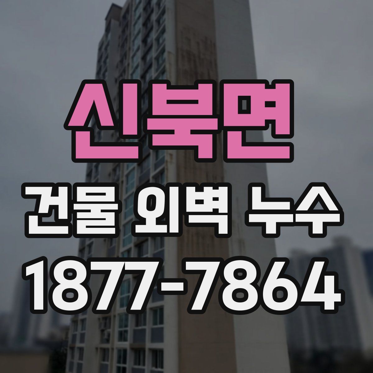 신북면 건물 외벽 누수