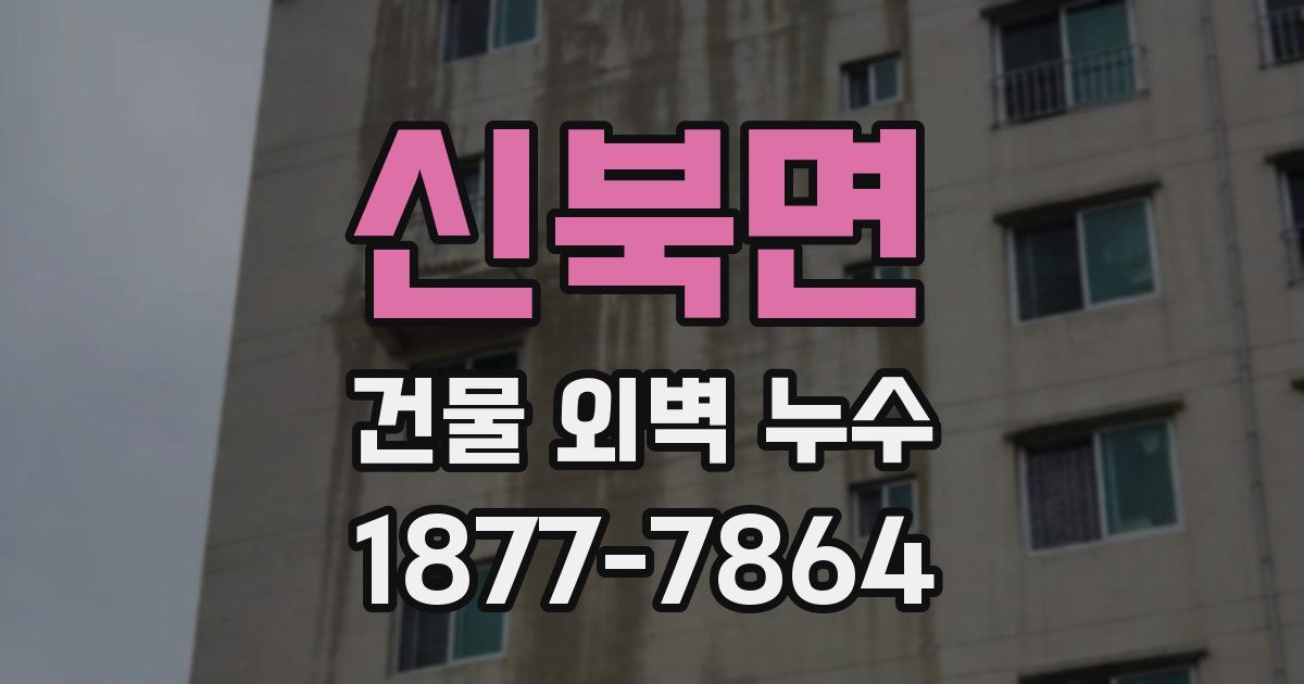 신북면 건물 외벽 누수