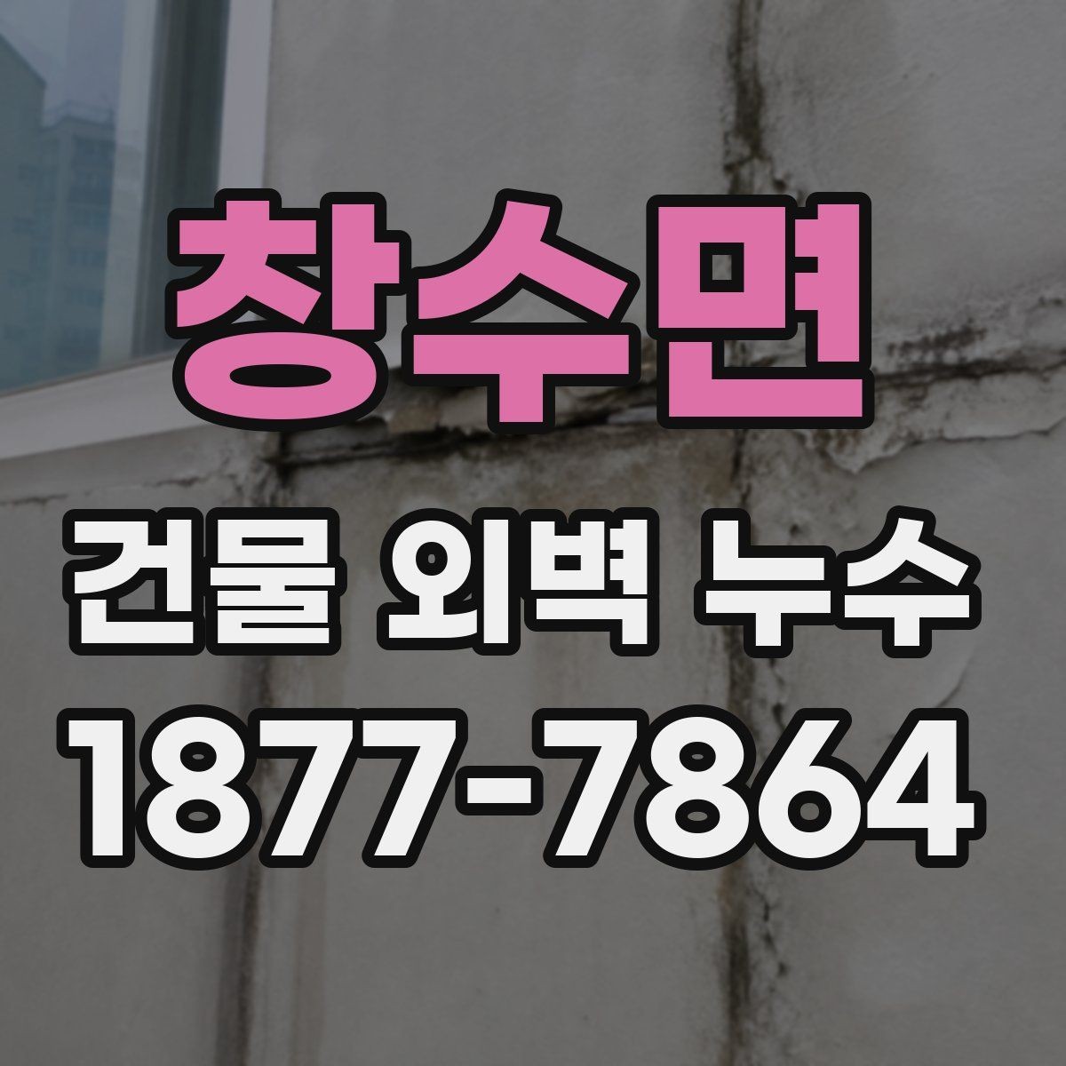 창수면 건물 외벽 누수 보수 견적 볼 때 체크할 점