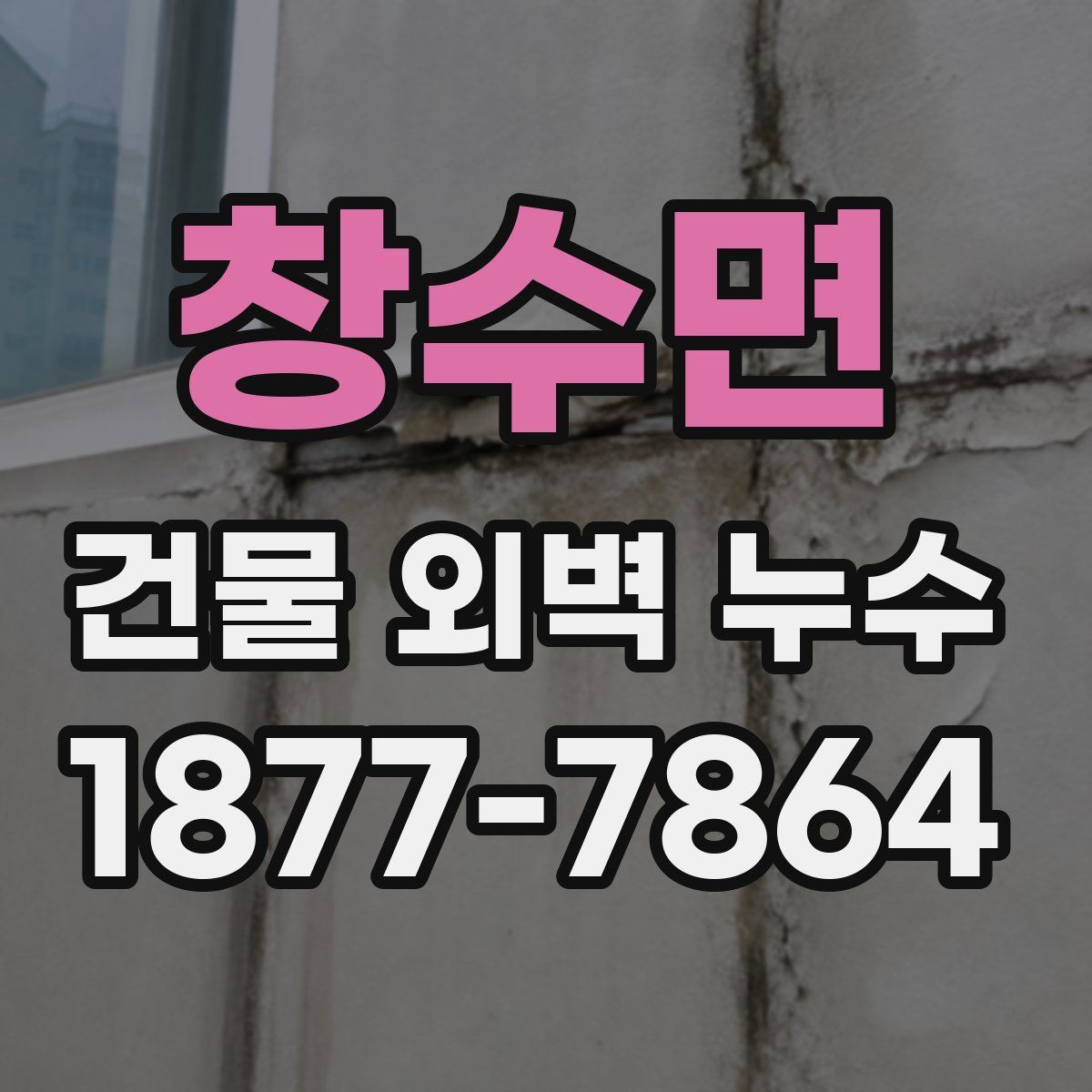 창수면 건물 외벽 누수