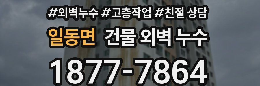 일동면 건물 외벽 누수