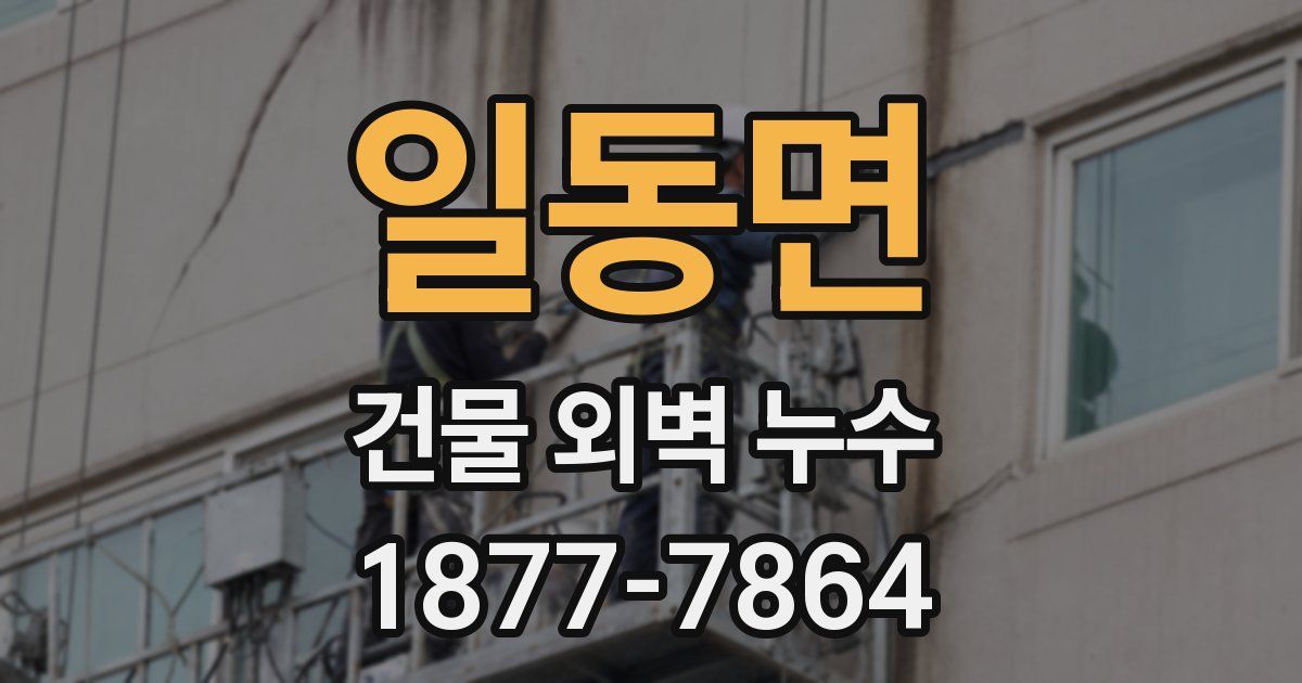 일동면 건물 외벽 누수