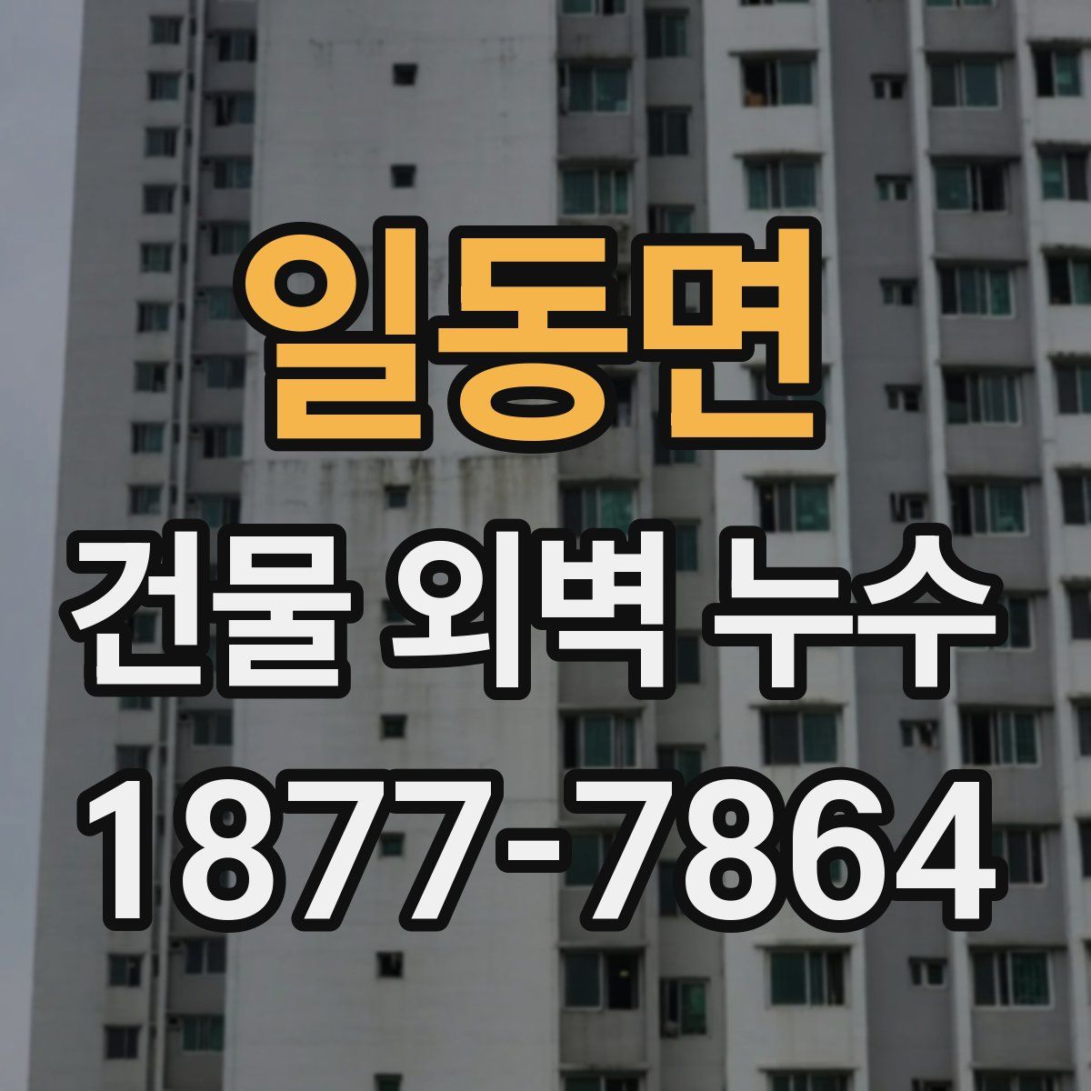 일동면 건물 외벽 누수
