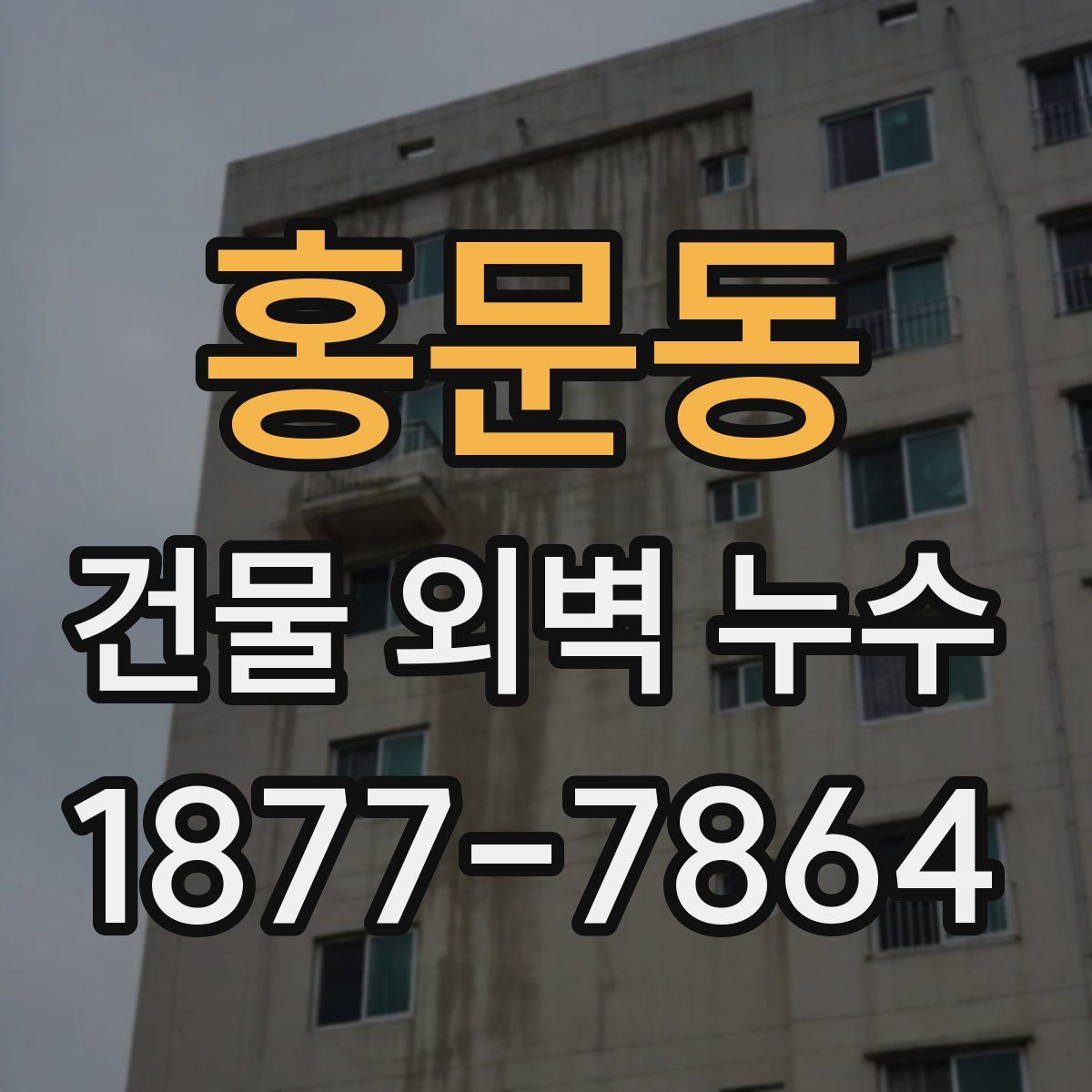 홍문동 건물 외벽 누수