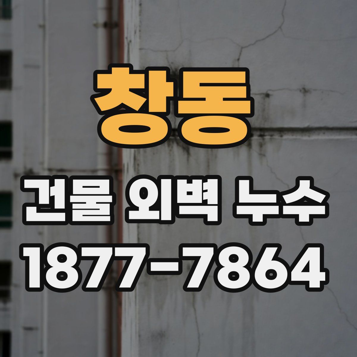 창동 건물 외벽 누수