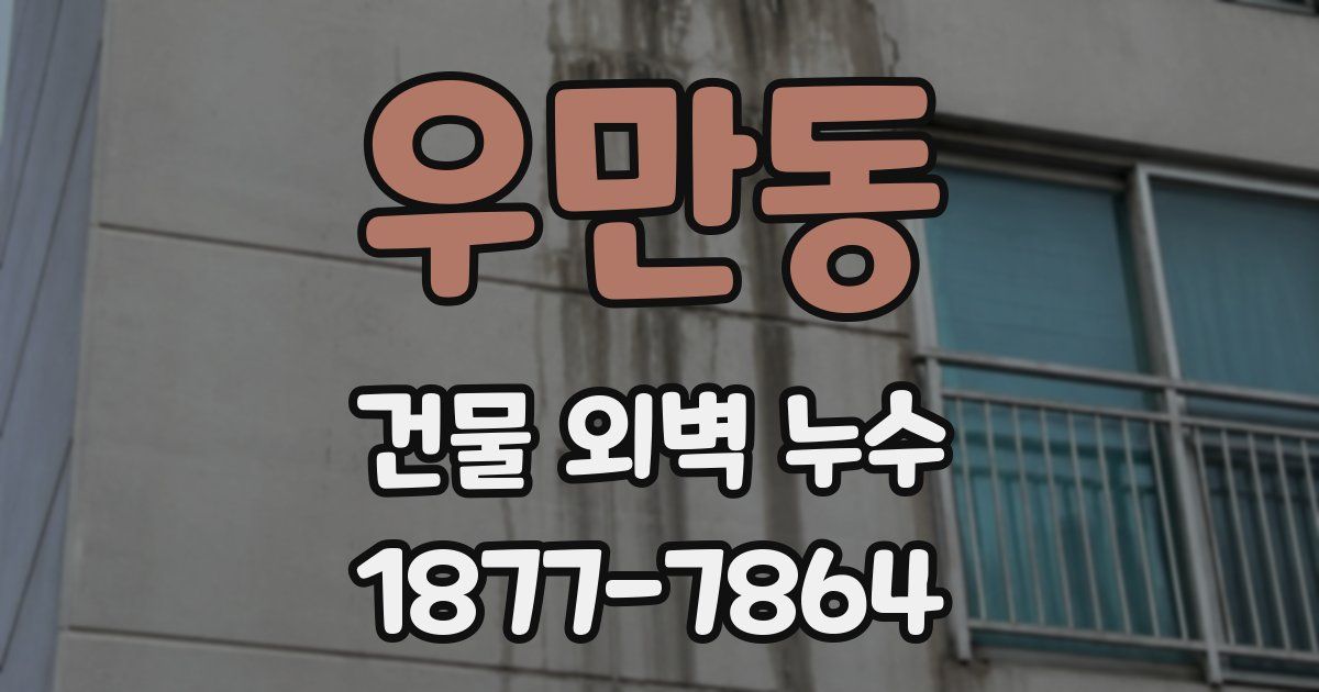 우만동 건물 외벽 누수