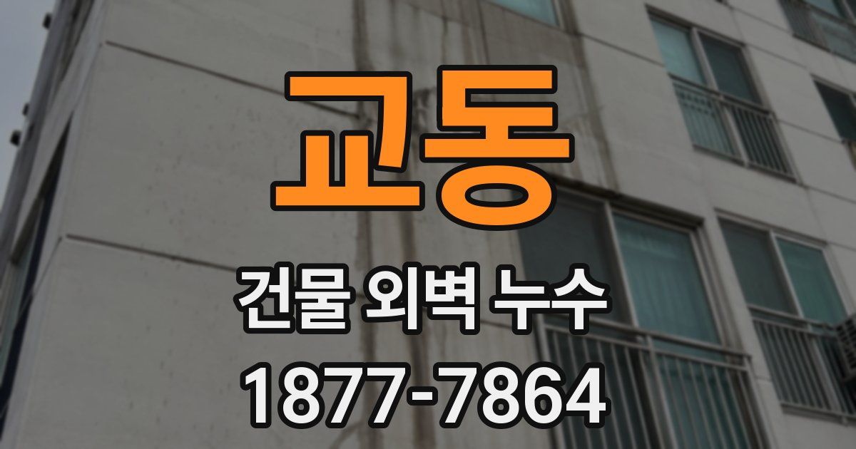 교동 건물 외벽 누수